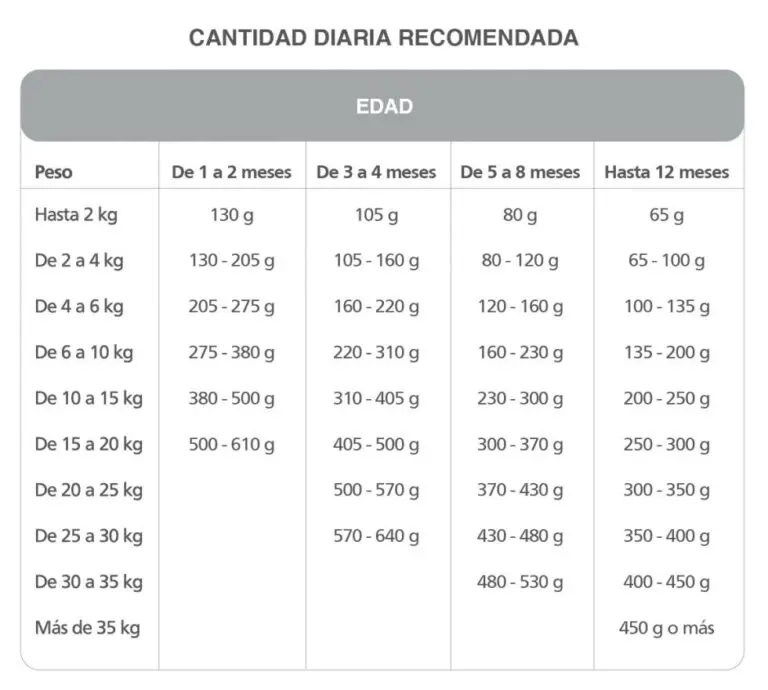 Foto de Kongo Gold Cachorros Todas las Razas