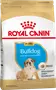 Foto de Royal Canin Bulldog Inglés Puppy