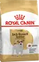 Foto de Royal Canin Jack Russell Terrier Adulto