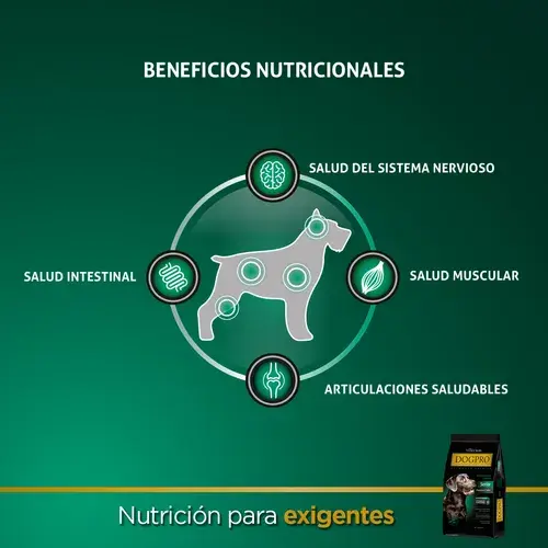 Foto de Dogpro Senior