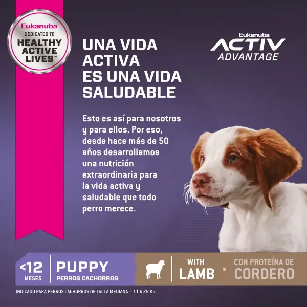 Foto de Eukanuba Puppy Medium Lamb (Cordero)