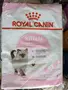 Foto de Royal Canin Kitten