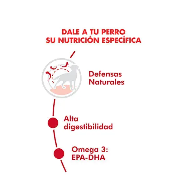 Foto de Royal Canin Medium Adulto