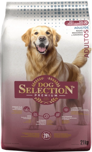 Dog Selection Premium Adultos | Delypet