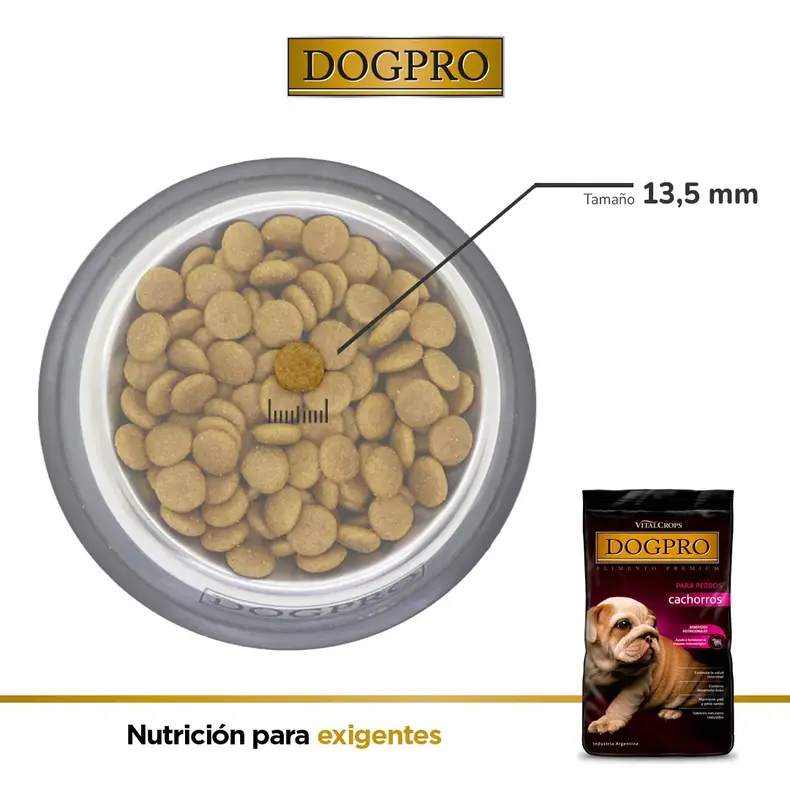 Foto de Dogpro Cachorros