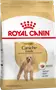 Foto de Royal Canin caniche Adulto