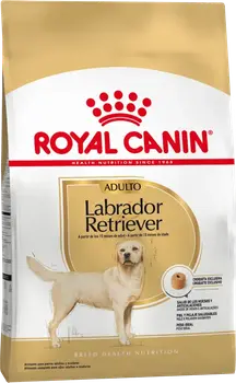 Imágen de Royal Canin Labrador Retriever Adulto