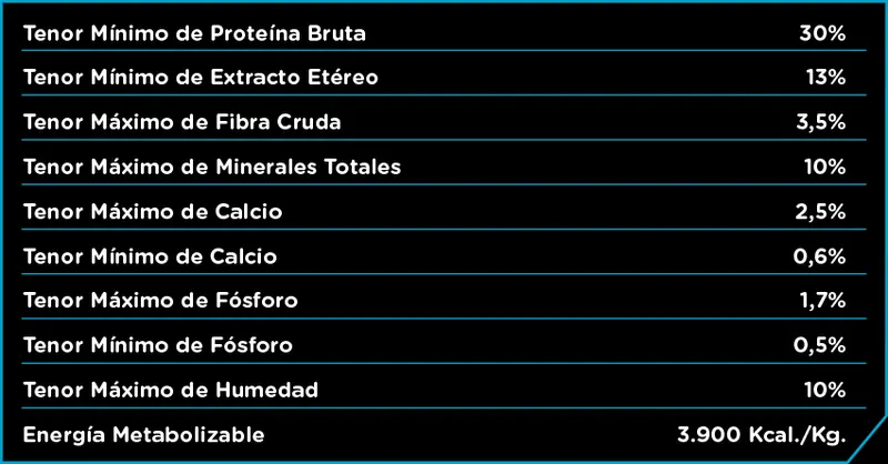 Foto de Infinity Gato Adulto