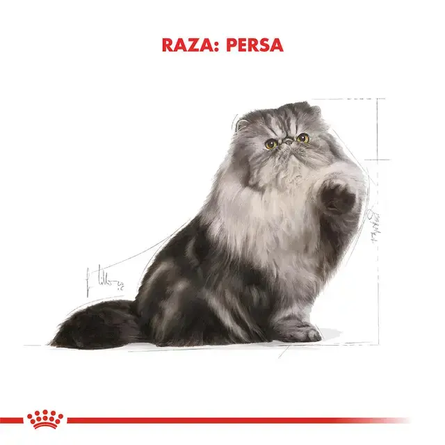 Foto de Royal Canin Persian Adulto