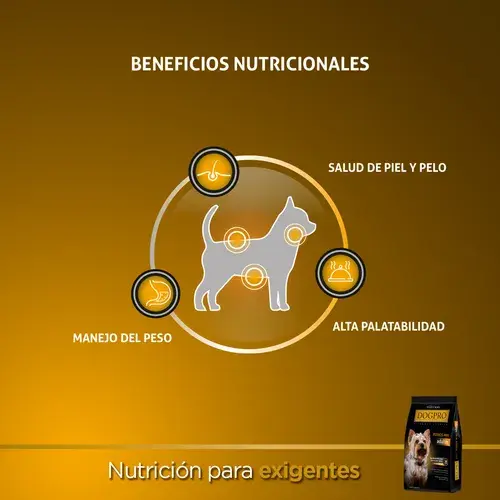 Foto de Dogpro Adulto Mini