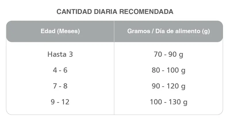 Foto de Kongo Gatitos sabor Carne y Leche