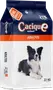 Foto de Cacique Nahuel Perro Adulto