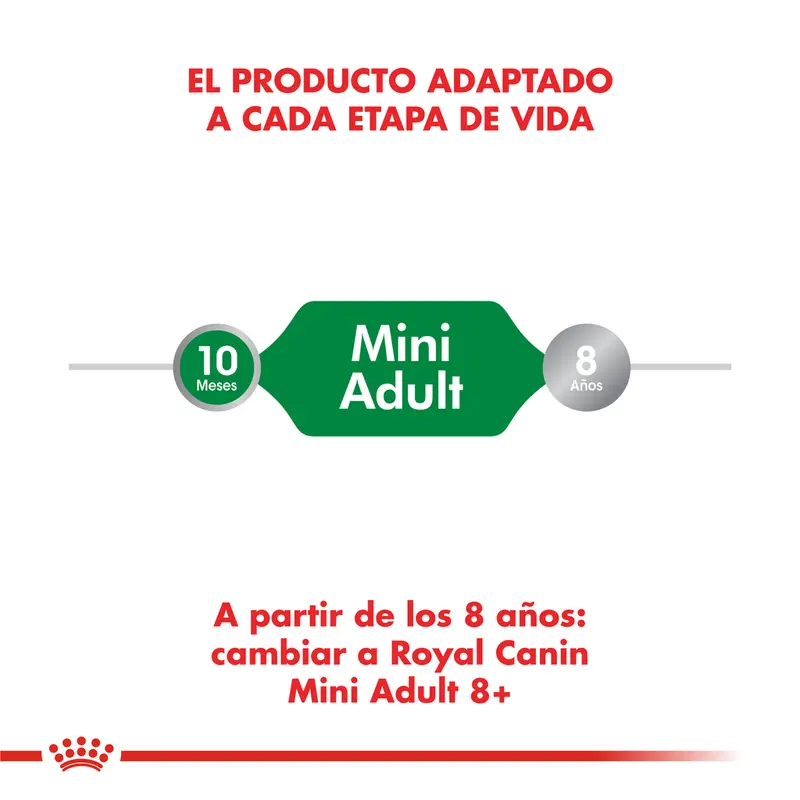 Foto de Royal Canin Mini Adulto