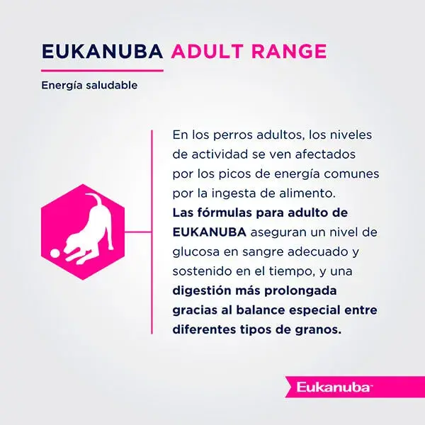 Foto de Eukanuba Adult Small Breed