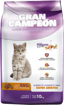 Imágen de Gran Campeón Gato Adulto
