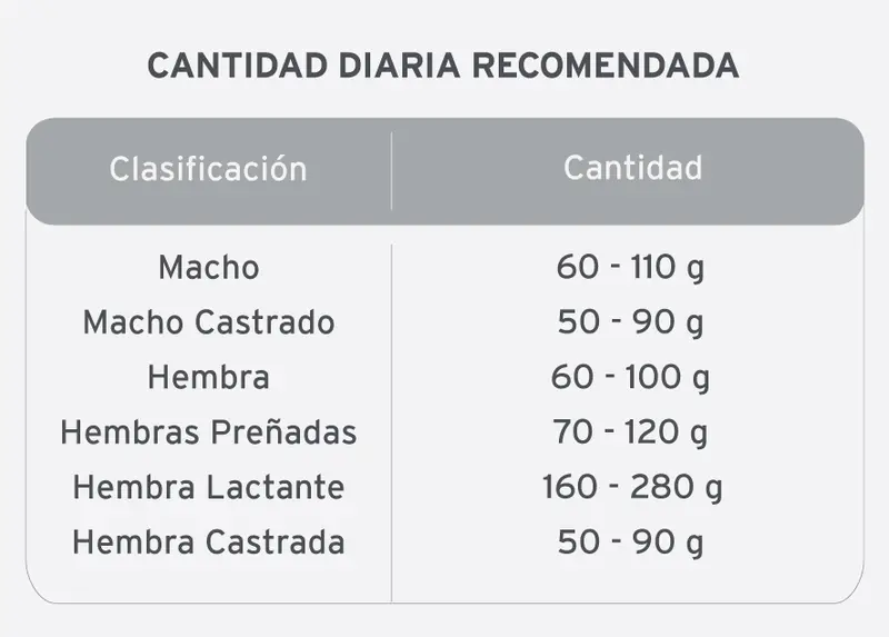 Foto de Kongo Gatos Adultos sabor Carne y Pollo