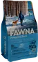 Foto de Fawna Perro Senior