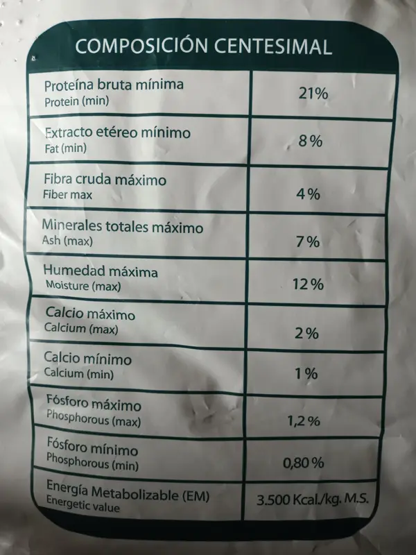 Foto de Jaspe Perro Adulto Mordida Pequeña