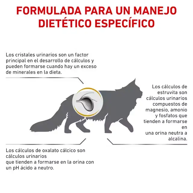 Foto de Royal Canin Gato Veterinary  Urinary S/O