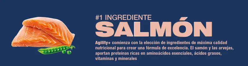 Foto de Agility Gato Adulto Cordero