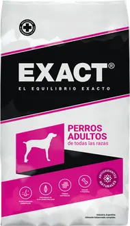 Foto de Exact Perro Adulto