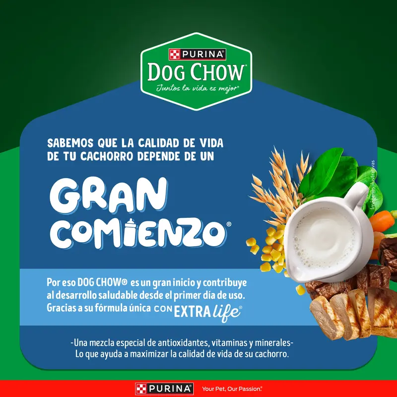 Foto de Dog Chow Perro Cachorro