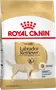 Foto de Royal Canin Labrador Retriever Adulto