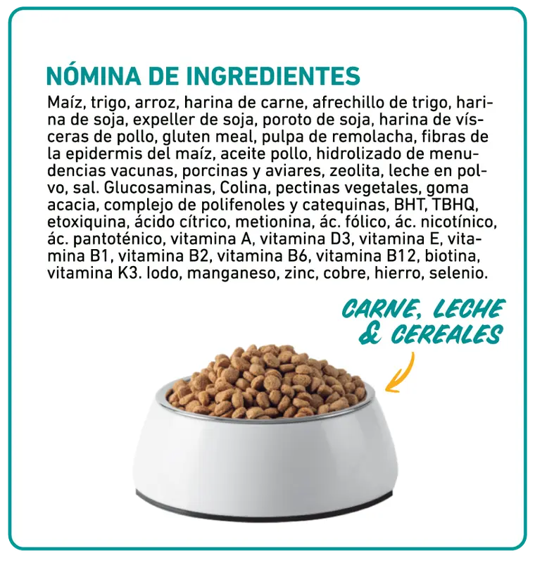 Foto de Keiko Perro Cachorro