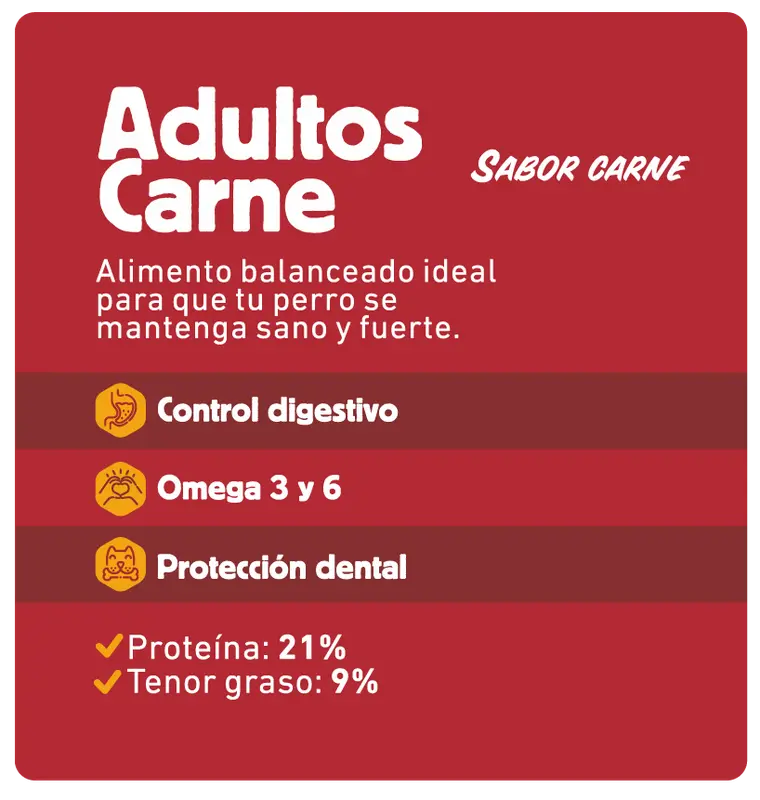 Foto de Keiko Perro Adulto de Raza Mediana y Grande