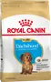 Foto de Royal Canin Dachshund Puppy