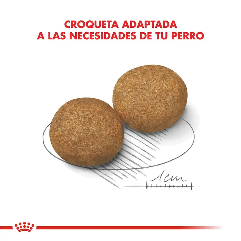 Foto de Royal Canin Medium Adulto