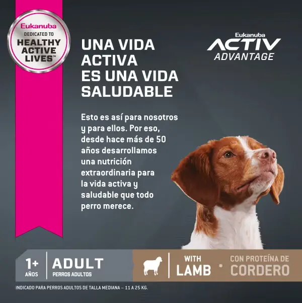 Foto de Eukanuba Adult Medium Lamb (Cordero)