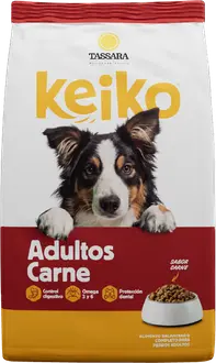 Foto de Keiko Perro Adulto de Raza Mediana y Grande