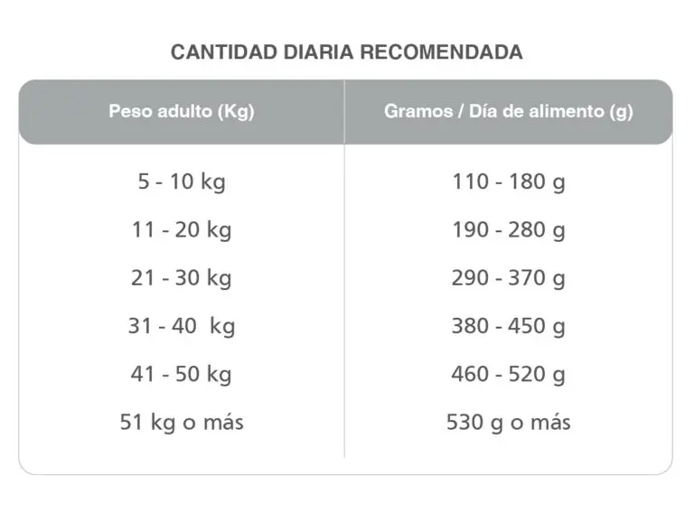 Foto de Kongo Gold Adultos Medianos y Grandes