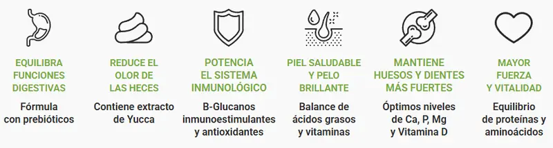 Foto de MisterPet Perro Cachorro