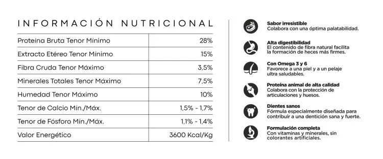 Foto de Upper Crock Perro Cachorro