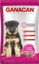 Foto de Ganacan Cachorros Leche y Carne