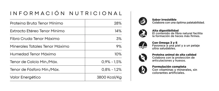 Foto de Upper Crock Perro de Raza Pequeña