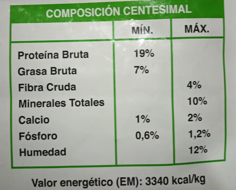 Foto de Pachá Cocktail Perros Adultos