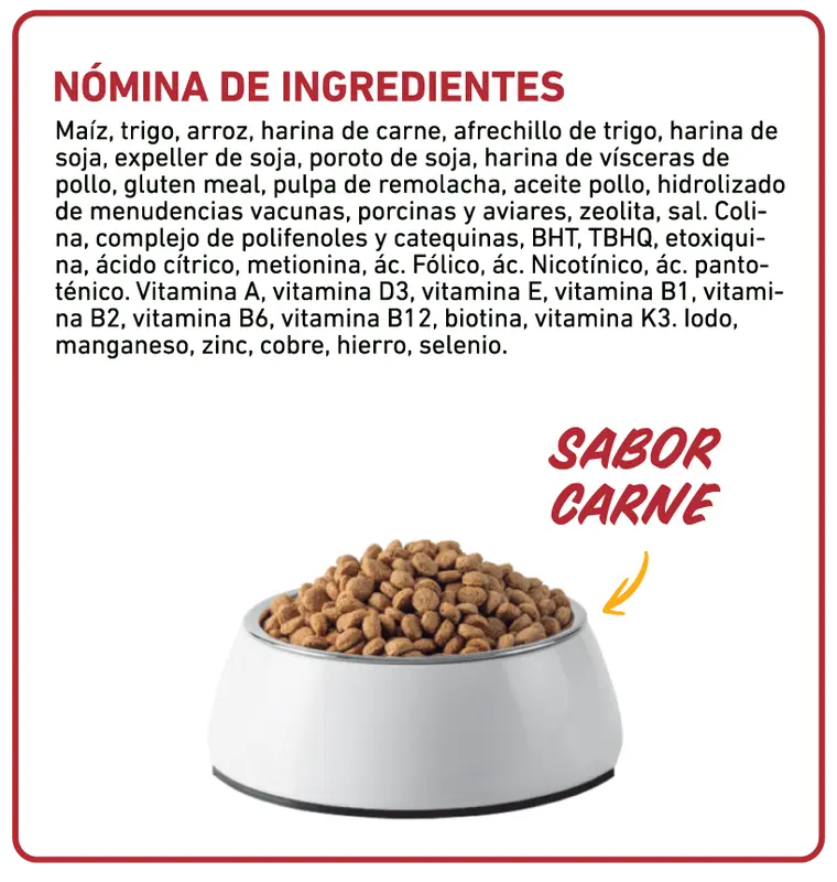 Foto de Keiko Perro Adulto de Raza Mediana y Grande