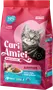 Foto de Cari Amici Gatitos