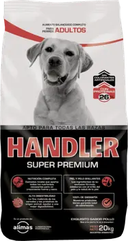 Imagen de Handler Perro Adulto Mediano y Grande