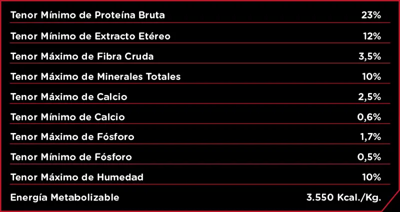 Foto de Infinity Adulto Razas Medianas y Grandes