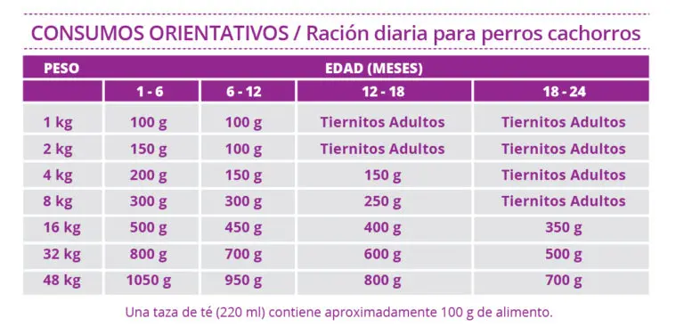 Foto de Tiernitos Selection Cachorros