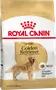 Foto de Royal Canin Golden Retriever Adulto