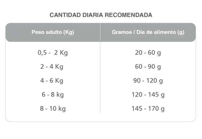 Foto de Kongo Gold Adultos Razas Pequeñas