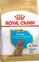 Foto de Royal Canin Caniche Puppy
