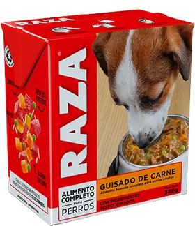 Imagen de Raza Perro Adulto Guisado de Carne