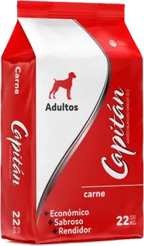 Imagen de Capitán Perro Adulto