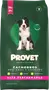 Foto de Provet Perro Cachorro Mediano y Grande